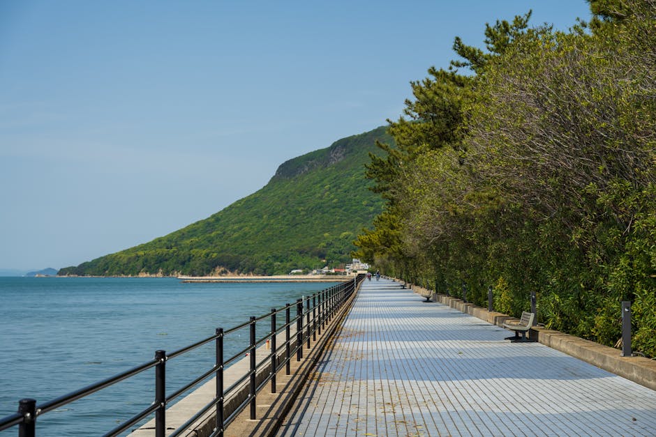 豊かな緑と海の景色が楽しめる静かな海岸沿いの遊歩道。静かに散歩するのに最適です。