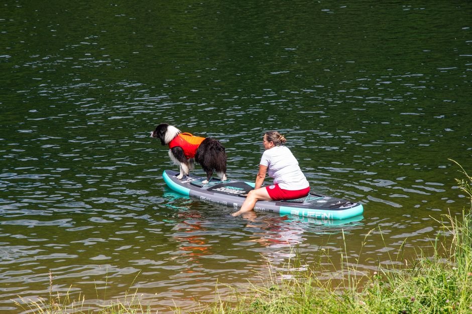 晴れた日に、穏やかな湖で女性と愛犬がパドルボードを楽しんでいる。