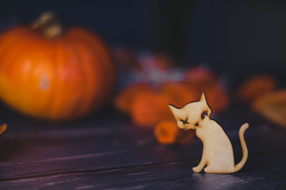 猫のハロウィン仮装 仮装した猫をかわいく撮る写真のコツのイメージ