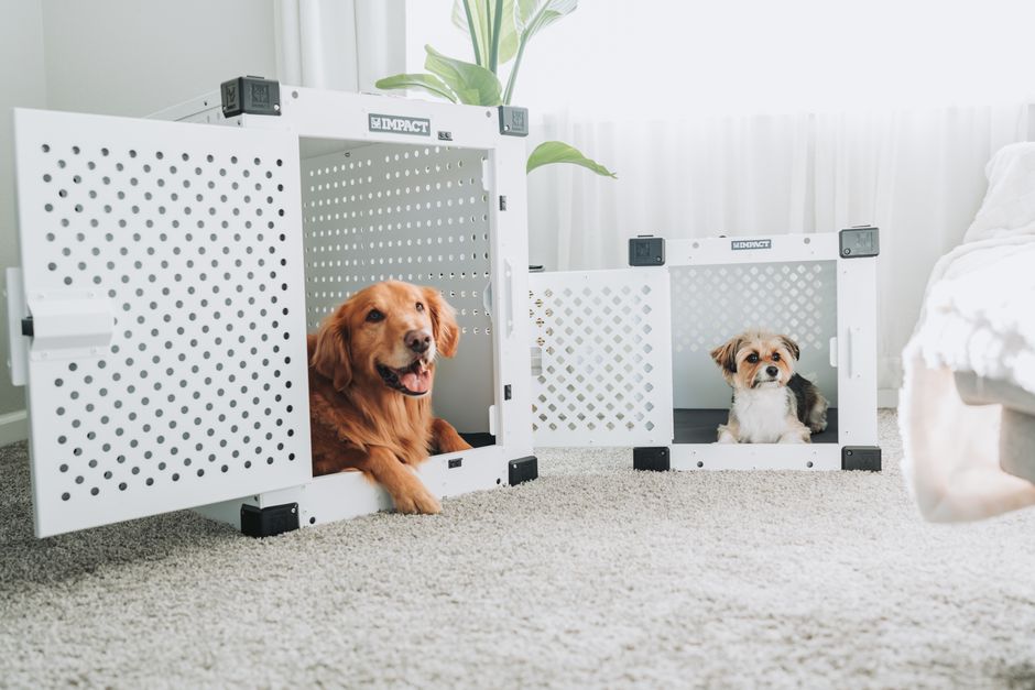 犬のサークルの置き場所 リビングの壁際に置いたケージで休む犬