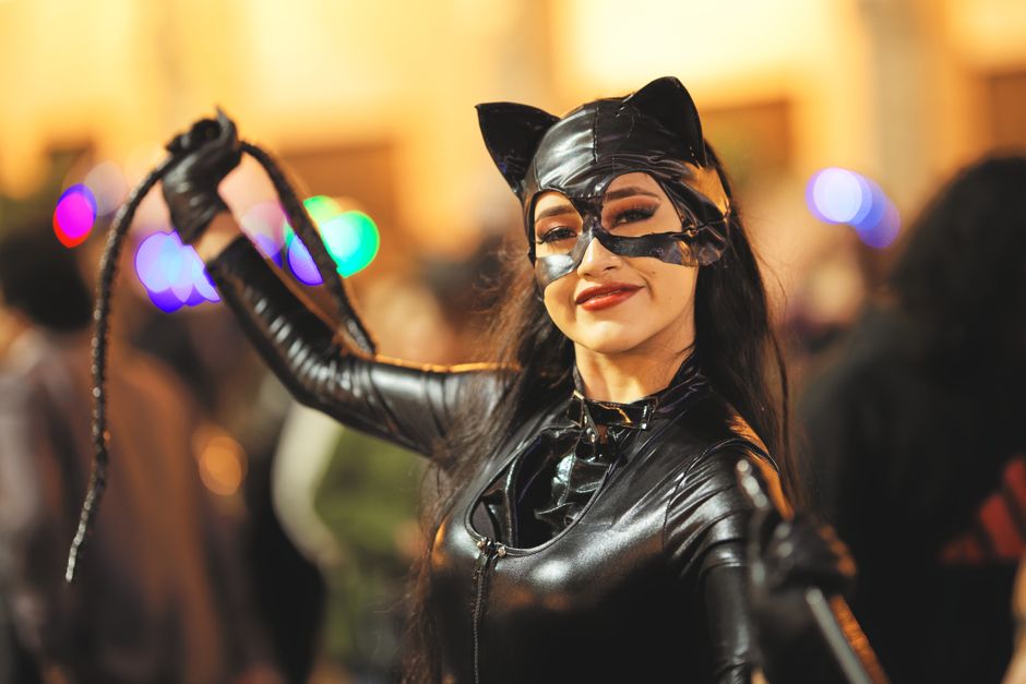 猫のハロウィン仮装 猫を仮装に慣らす5日間ステップのイメージ