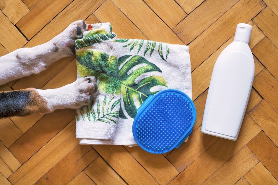 犬の肉球ケア用品とタオル 冬の散歩後の足洗いと保湿