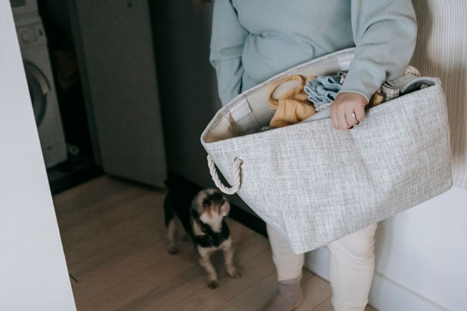 犬服の収納アイデア たたむ派に向く引き出し・収納ケースの使い分けのイメージ
