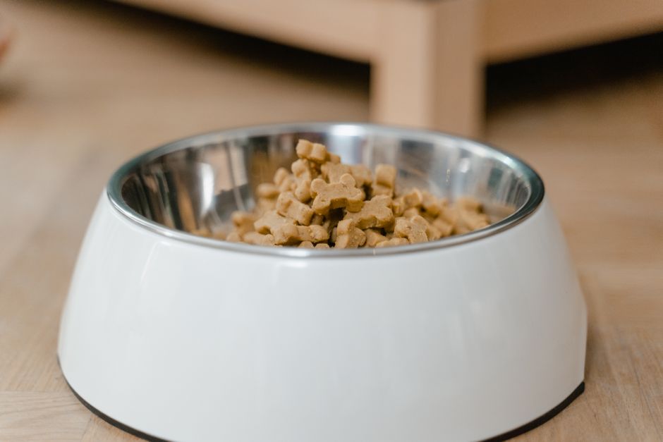 犬の療法食おすすめ比較 ロイヤルカナン・ヒルズ・ドクターズケアの犬用療法食を比較のイメージ