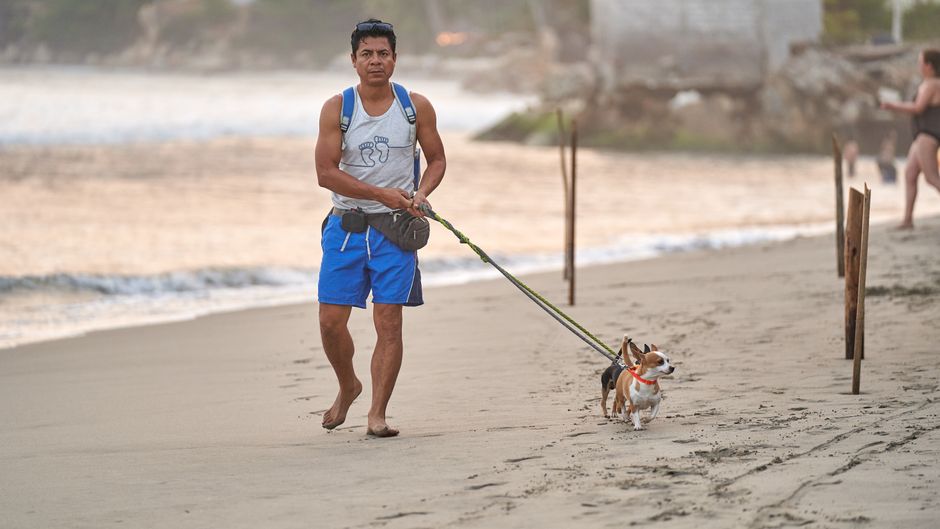 犬の暑さ対策グッズおすすめ12選のイメージ
